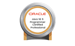 Java SE 6 Programmer Certified Professional
